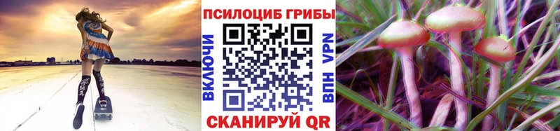 Галлюциногенные грибы мицелий  хочу наркоту  KRAKEN ССЫЛКА  Мценск 