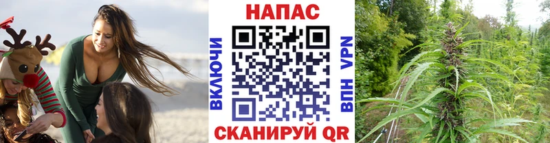 Каннабис Ganja  Мценск 